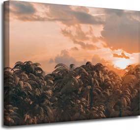 Vászonkép Fák Naplemente Felhők Égbolt 50x40 cm