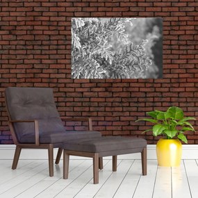 Kép - Lucfenyő erdő (90x60 cm)