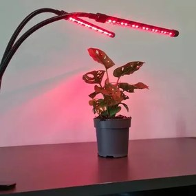 20 LED-es lámpa 2 db növénynövekedéshez Gardlov 19241