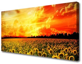 Vászonkép falra Napraforgó mezei virágok 100x50 cm