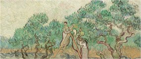 Kép - Vincent van Gogh, The Olive Orchard, reprodukciók (120x50 cm)