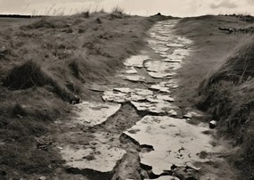 Poszter 84,1x59,4cm Memóriaút a dűnék között