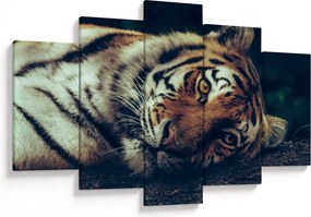 Kép - Szibériai tigris (150x105 cm)