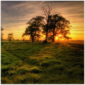 Poszterek 30x30 Naplemente a croissant-ban