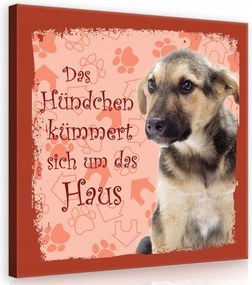 Vászonkép 80x80 Kiskutya kutya ház gondoskodó aranyos csintalan német ujjlenyomatok