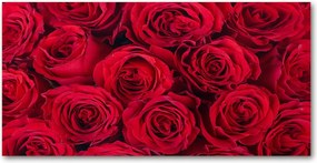 Fotó vászonkép edzett üveg Rózsa 140x70