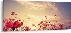 Kép - Rét virágokkal (120x50 cm)