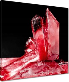 Vászonkép 50x50 Makrofotó MacroFoto