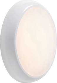 Endon HERO 95543 mennyezeti lámpa 18W 3000K|4000K|6000K IP65