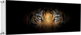 Mágneses Radiátorszőnyeg 160x60 Tigris Fotótapéta