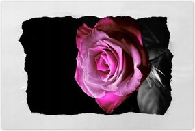 PlakĂĄtok 120x80 Lila rĂłzsa