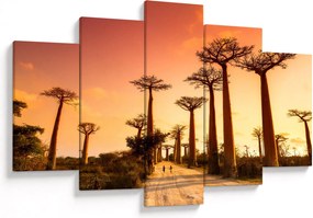 Kép - Naplemente a Baobab Alley-ben (150x105 cm)