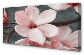Canvas képek rózsaszín virágok 100x50 cm