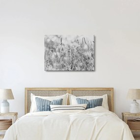 Kép - Hideg tél (70x50 cm)