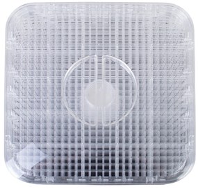 G21 Paradiso Cube black gyümölcsaszaló