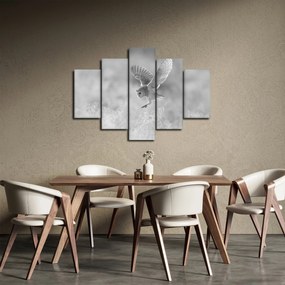 Kép - Bagoly, fekete-fehér (150x105 cm)