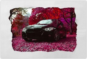 Poszterek 90x60 Fekete Bmw Ősz
