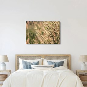 Kép - Gabona (90x60 cm)
