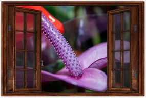 Poszterek 90x60 Lila antúrium