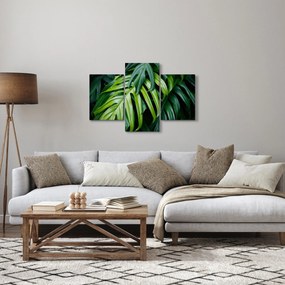 Kép - trópusi levelek (90x60 cm)