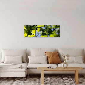 Kép - juhar levelek (órával) (90x30 cm)