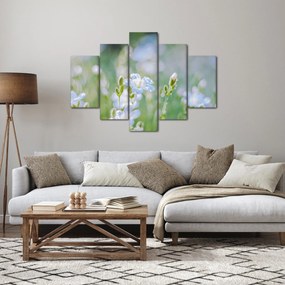 Kép - Finom virágok (150x105 cm)