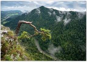 Poszterek 100x70 Tájkép Sólyomkő