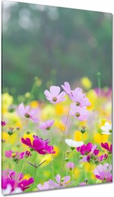 Vászonkép 80x120 Virágok