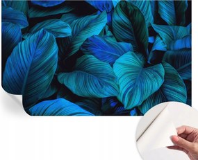 Dekoratív Öntapadós Tapéta Divatos Minták Kék levelek 416x254 cm