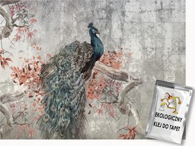 Fotótapéta Flizelina Fal Beton Festmény Falikép Madár Páva 250x175 ragasztó