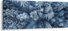 Kép - Havas erdő (120x50 cm)