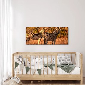 Zebrák képe (120x50 cm)