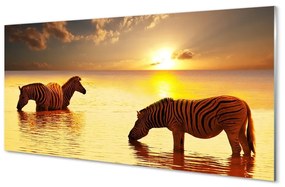 Üvegképek Zebrák víz naplemente 100x50 cm