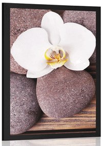 Poszter wellness orchidea fa háttéren