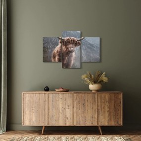 Kép - Highlander tehén (90x60 cm)