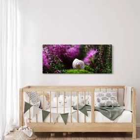 Kép - Csigaház (120x50 cm)