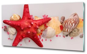Üvegkép Starfish és kagylók osh-75838454
