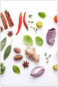 Poszter 60x90 Friss gyógynövények menta ánizs