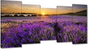 Vászonkép 150x80 Levendula tájkép Nap