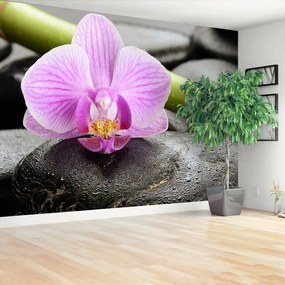 Fotótapéta orchidea Stones 104x70 cm