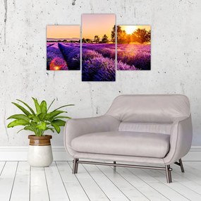 Levandula mező képe (90x60 cm)