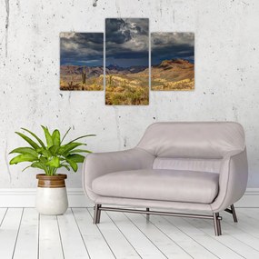 Kép - kaktuszok a természetben (90x60 cm)
