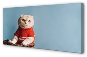 Canvas képek ül macska 100x50 cm