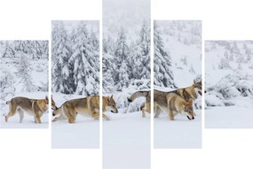 Kép - Farkasok a hegyekben (150x105 cm)