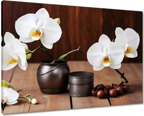 Vászonkép 70x50 Fehér orchideák