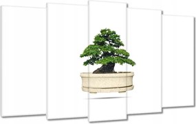 Vászonkép 100x60 Bonsai fa