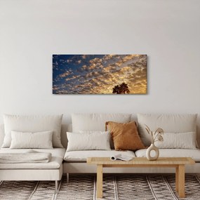 Kép - Pálmafák a felhők között (120x50 cm)