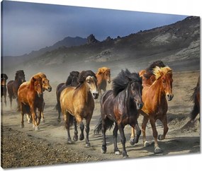 Vászonkép 80x60 Vadlócsorda