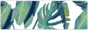 Poszterek 200x66 Monstera Levelek levél