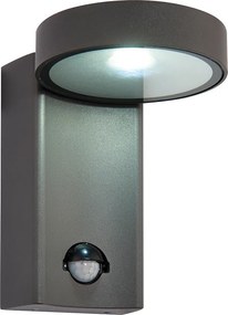 ENDON 67696 ORETI Fali Lámpa Mozgásérzékelővel Antracit, Átlátszó LED IP44